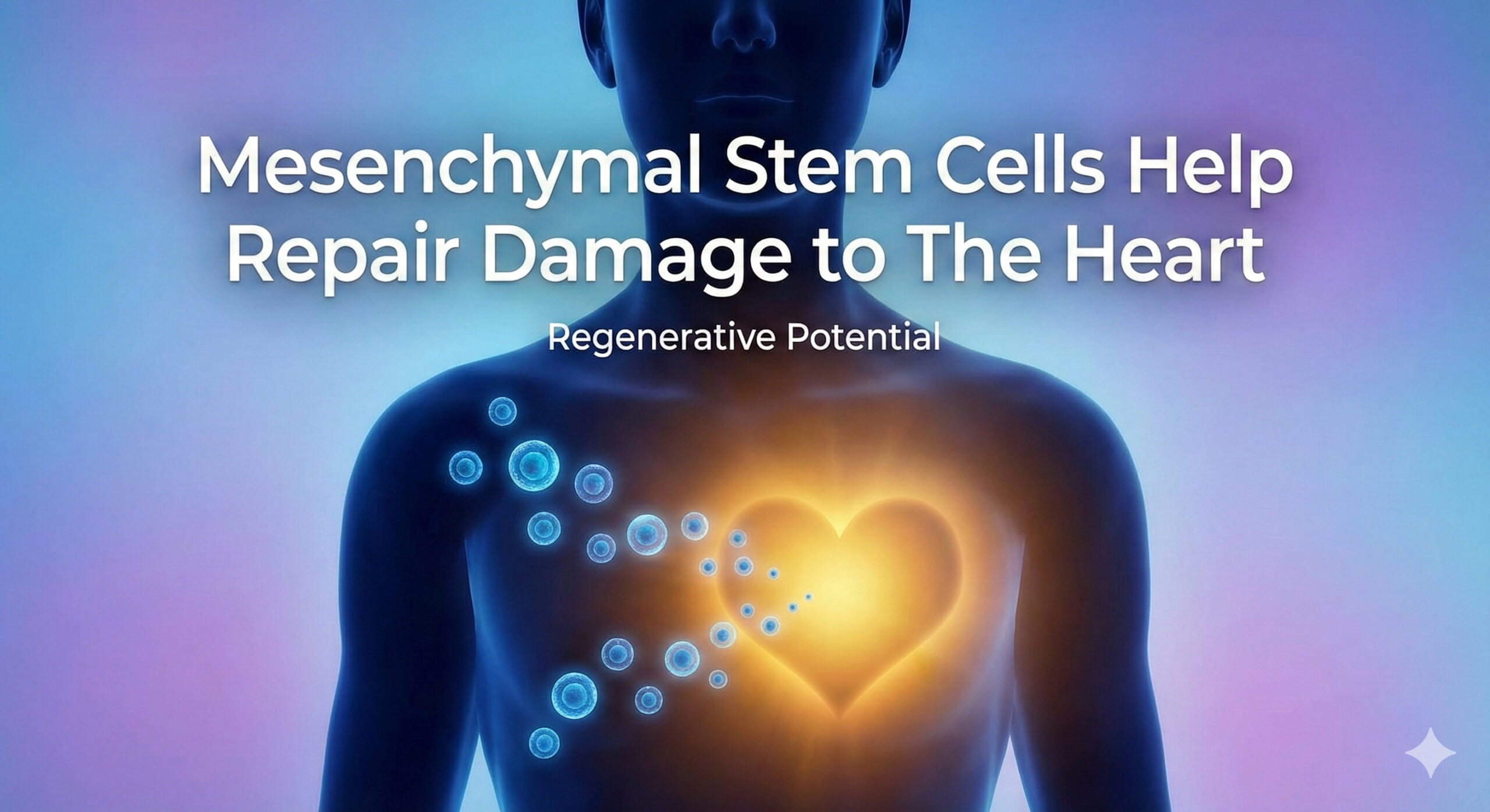 Why Stem Cells are Being Studied for Heart Disease.